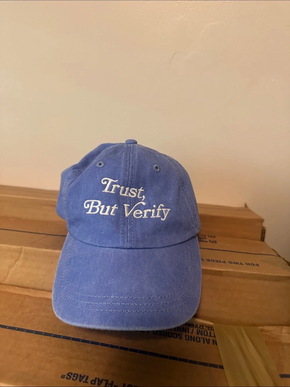 Source Unknown Blue 'Trust, But Verify' Baseball Cap